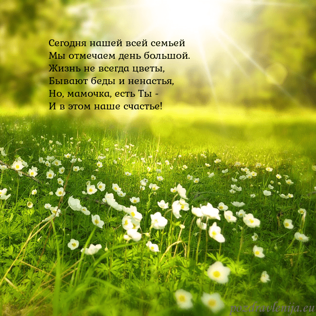 Электронная открытка с утопающим в солнечном свете лугом