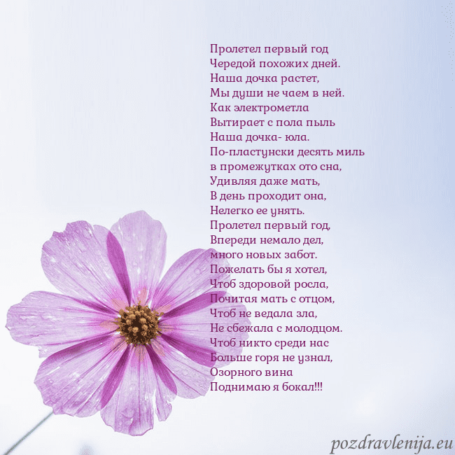 Электронная открытка с фиолетовым цветком