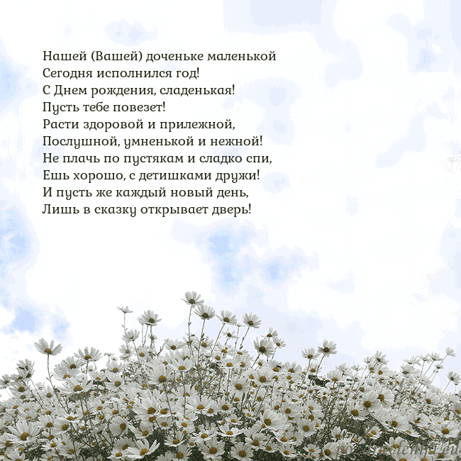 Открытка с ромашками