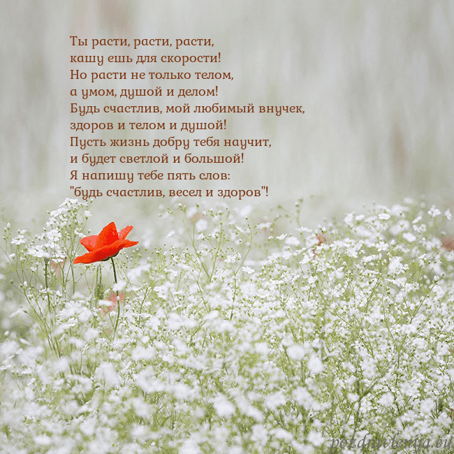 Электронная открытка с белыми цветами