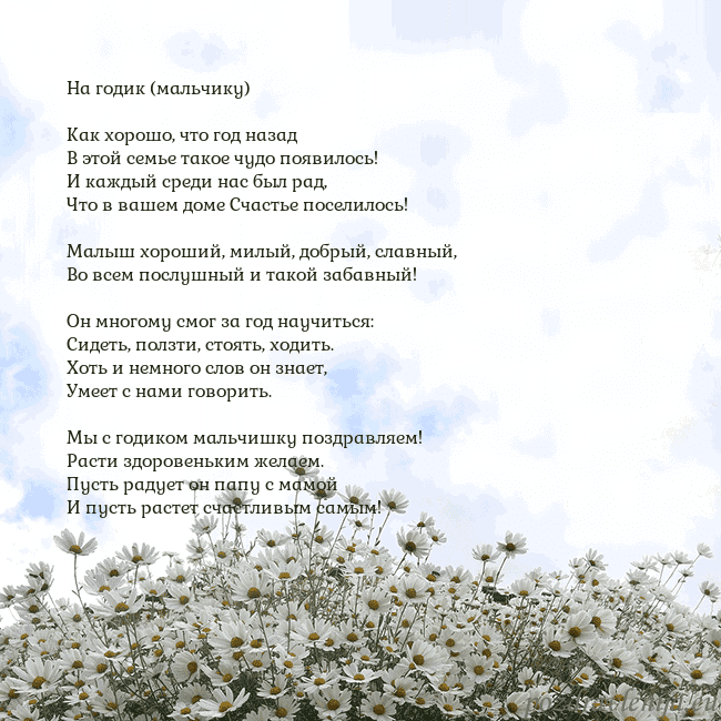 Открытка с ромашками