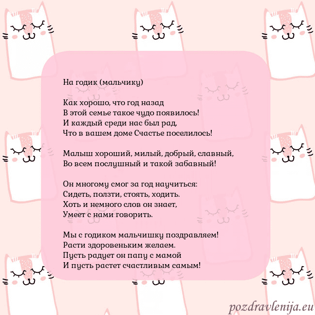 Розовая открытка с забавными кошками