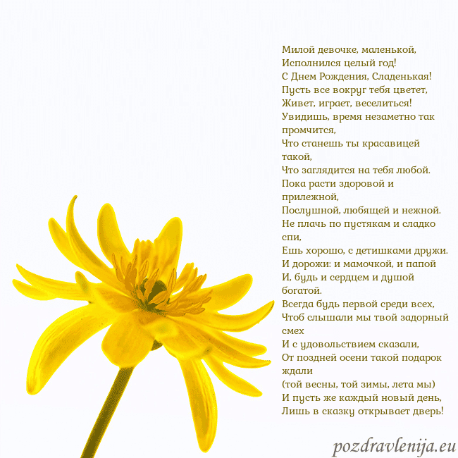 Открытка с желтым цветком Милой девочке, маленькой,
Исполнился целый год!
Открытка с желтым цветком