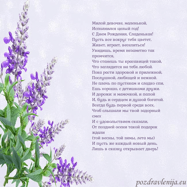 Открытка с люпинами Милой девочке, маленькой,
Исполнился целый год!
Открытка с люпинами