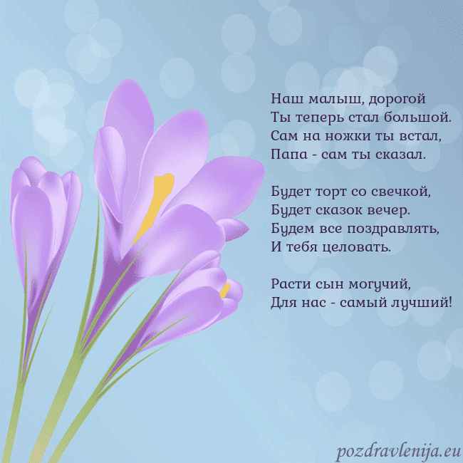 Открытка с крокусом