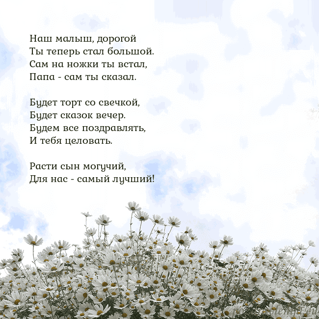 Открытка с ромашками
