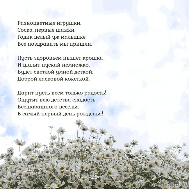 Открытка с ромашками