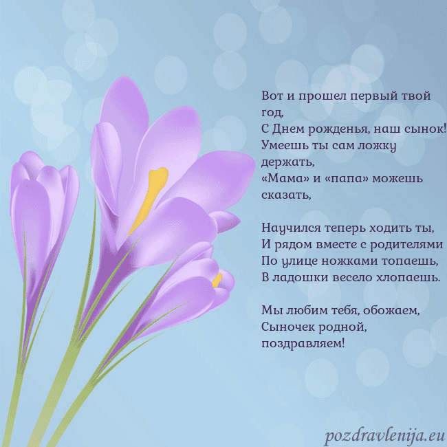 Открытка с крокусом