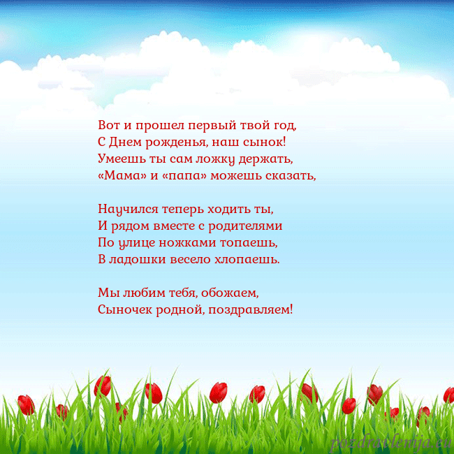 Открытка с тюльпанами