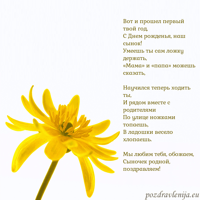 Открытка с желтым цветком
