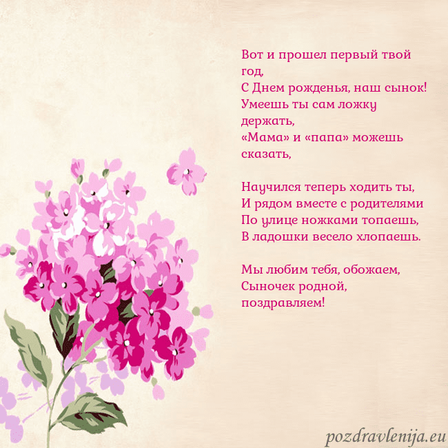 Открытка с гортензией