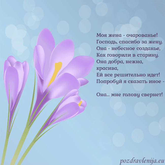 Открытка с крокусом
