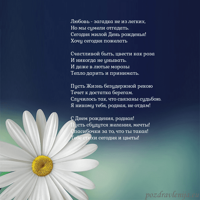 Открытка с большой ромашкой