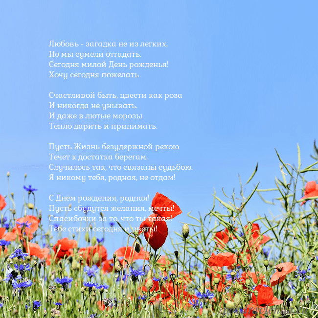 Открытка с маками