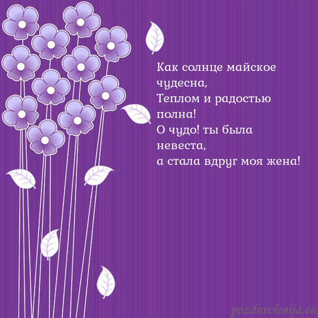 Открытка с фиолетовыми цветами