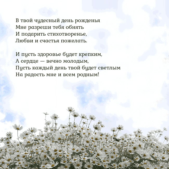 Открытка с ромашками