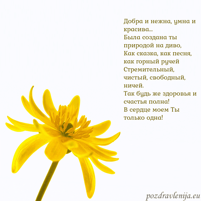 Открытка с желтым цветком