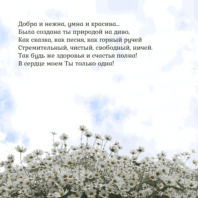 Открытка с ромашками