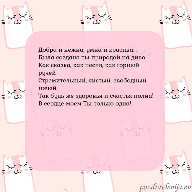 Розовая открытка с забавными кошками