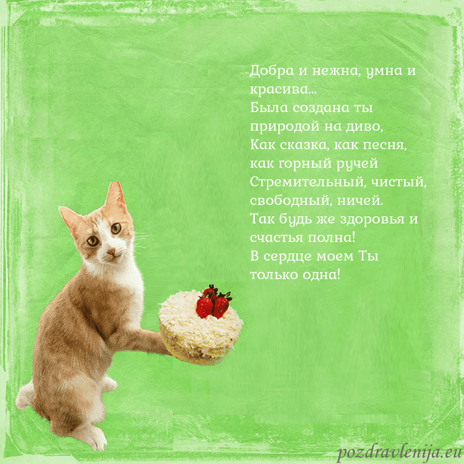 Забавная открытка на день рождения с кошкой и тортом