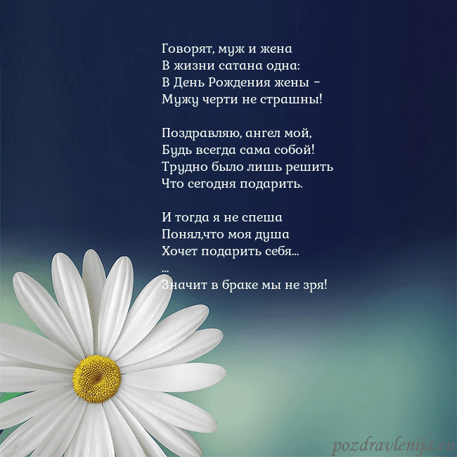 Открытка с большой ромашкой