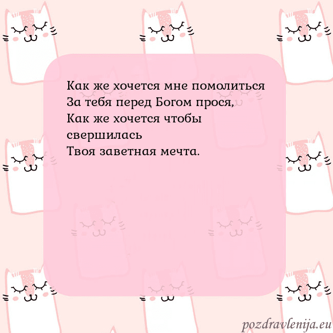 Розовая открытка с забавными кошками