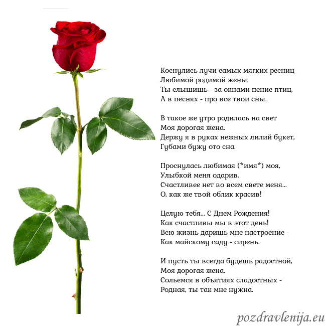 Открытка с красной розой Коснулись лучи самых мягких ресниц
Любимой родимо Открытка с красной розой