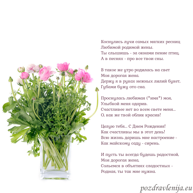 Открытка с цветами в вазе Коснулись лучи самых мягких ресниц
Любимой родимо Открытка с цветами в вазе