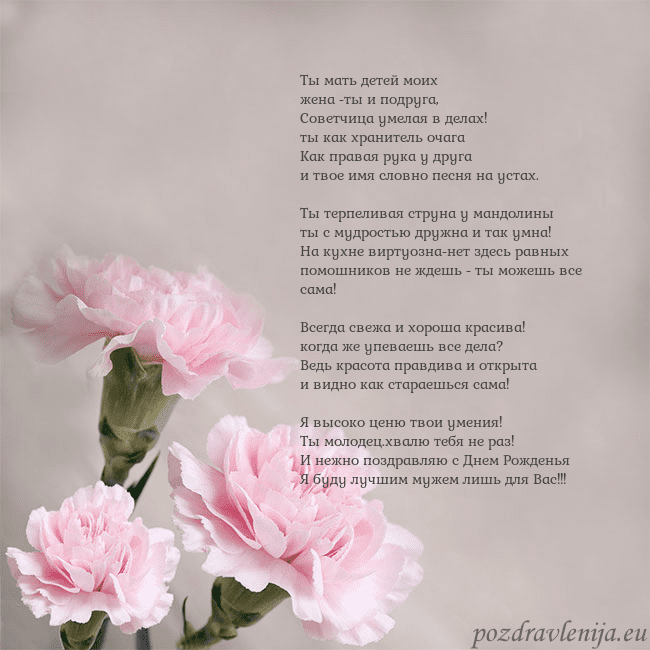 Открытка с розовыми гвоздиками Ты мать детей моих
жена -ты и подруга,
Советчица Открытка с розовыми гвоздиками