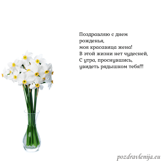 Открытка с нарциссами