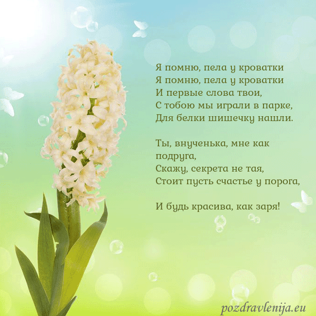 Открытка с гиацинтом