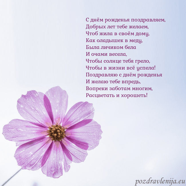 Электронная открытка с фиолетовым цветком