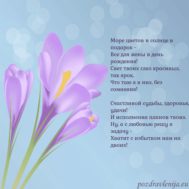 Открытка с крокусом