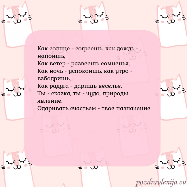 Розовая открытка с забавными кошками