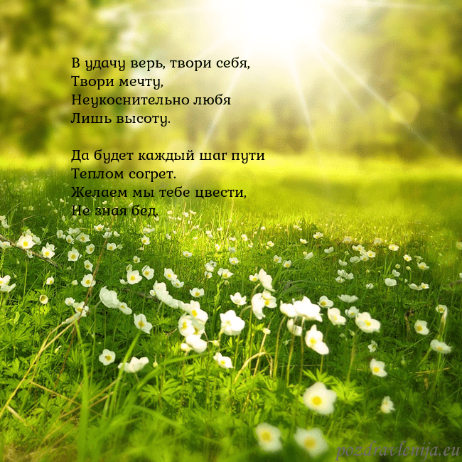 Электронная открытка с утопающим в солнечном свете лугом