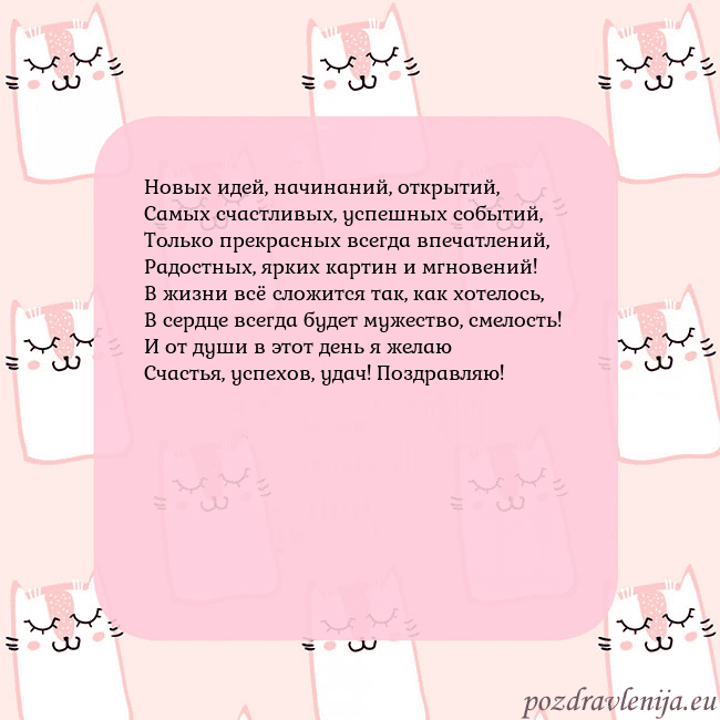 Розовая открытка с забавными кошками