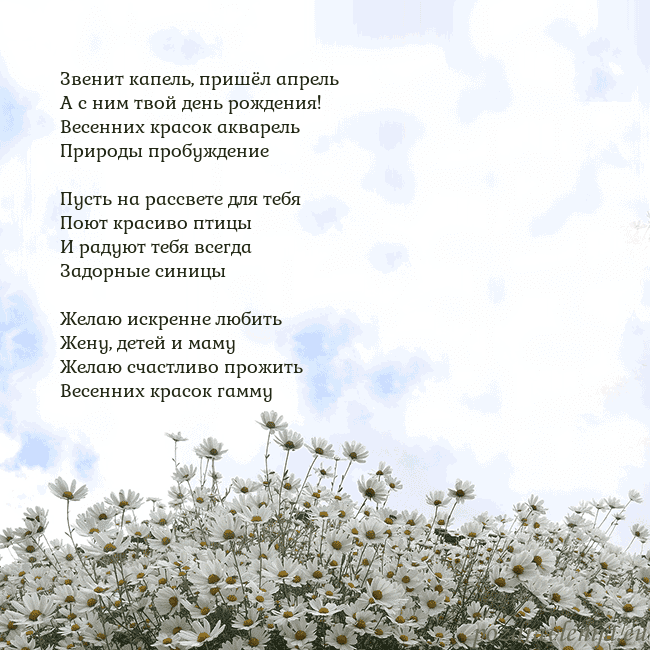Открытка с ромашками