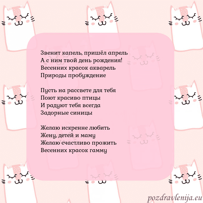 Розовая открытка с забавными кошками