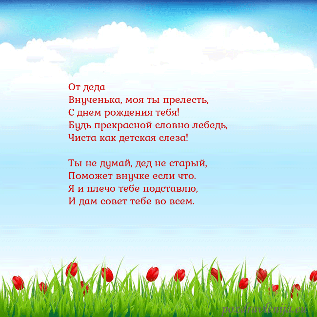 Открытка с тюльпанами