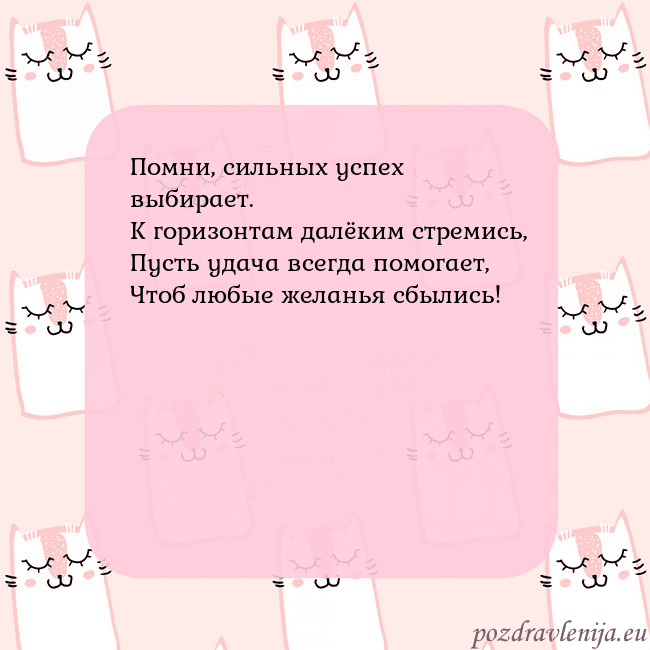 Розовая открытка с забавными кошками
