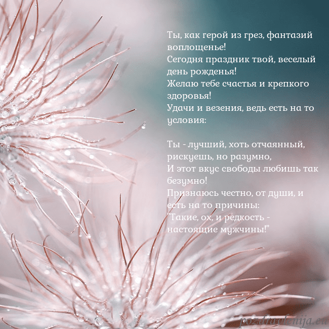 Открытка с пушистыми растениями
