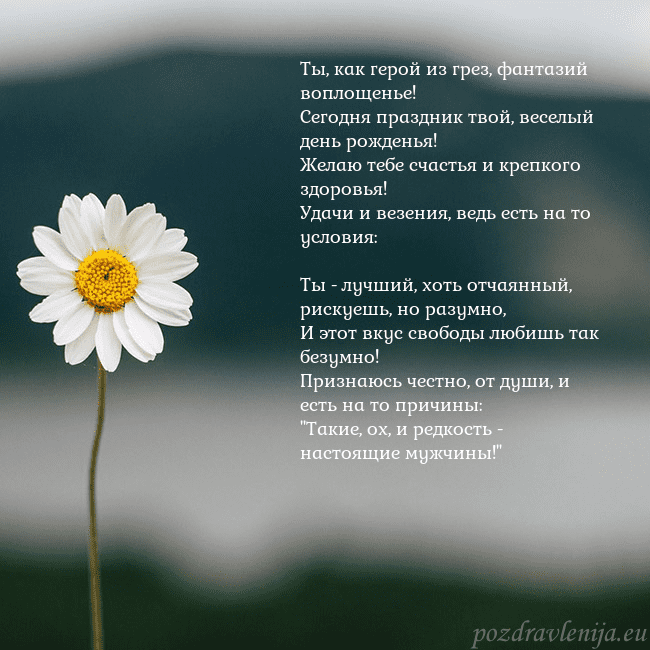 Электронная открытка с ромашкой