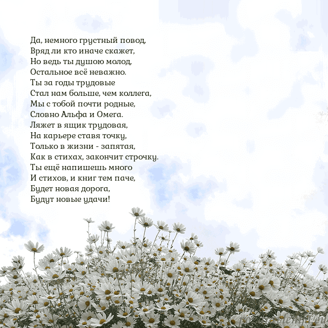 Открытка с ромашками
