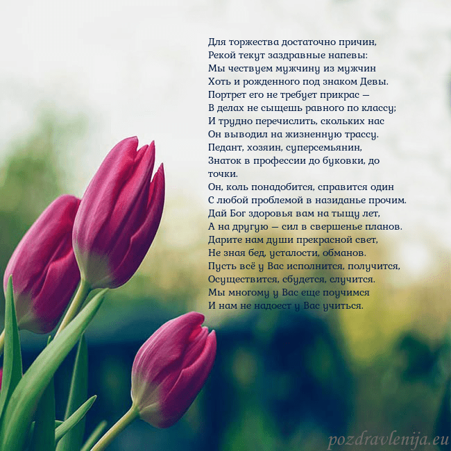 Открытка с тремя красными тюльпанами Для торжества достаточно причин,
Рекой текут заздр Открытка с тремя красными тюльпанами