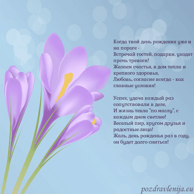 Открытка с крокусом