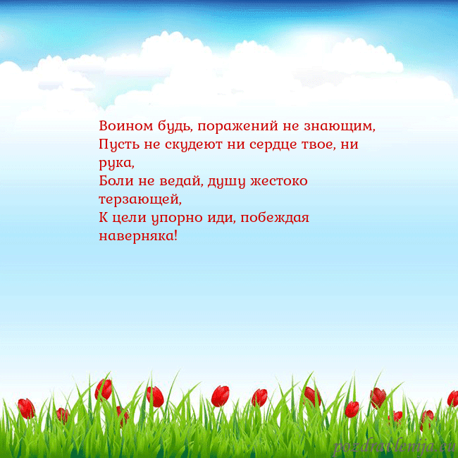 Открытка с тюльпанами