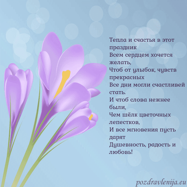 Открытка с крокусом