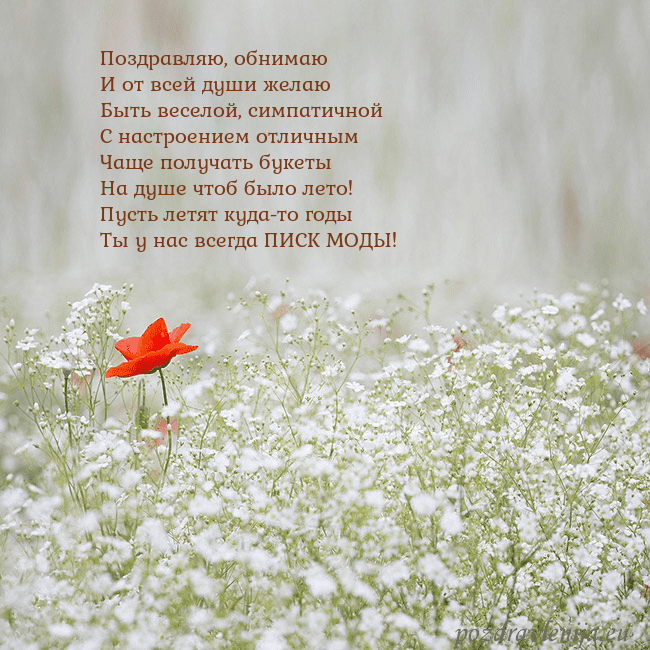 Электронная открытка с белыми цветами