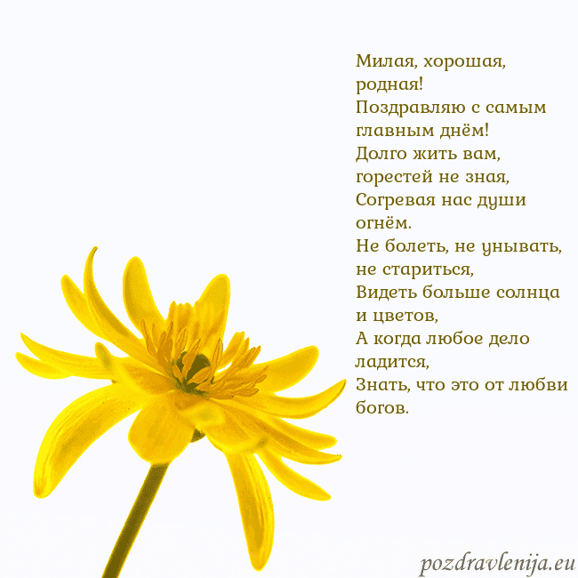 Открытка с желтым цветком