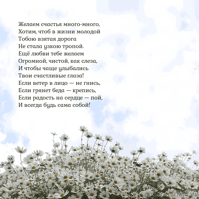 Открытка с ромашками